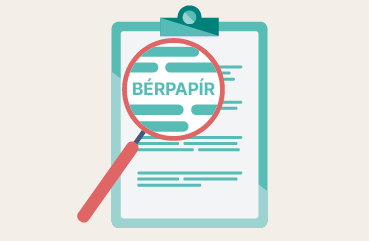Explicare interactivă a fluturașului de salariu